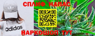 ECSTASY Апшеронск
