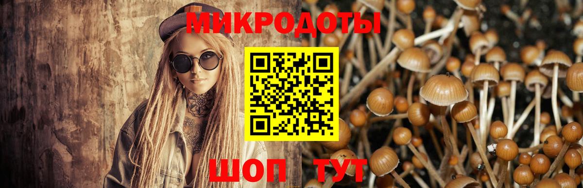 Богородицк  Галлюциногенные грибы ЛСД  Галлюциногенные грибы Cubensis  где найти   Вход с VPN 