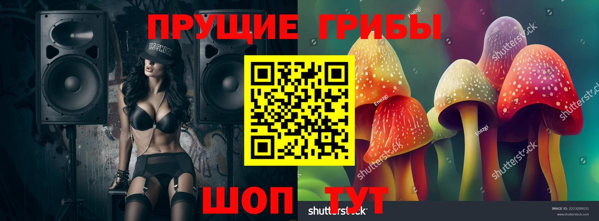 Галлюциногенные грибы Psilocybine cubensis Богородицк